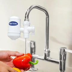 SWS Hi-Tech Ceramic Cartridge / Environment-friendly Water Purifier