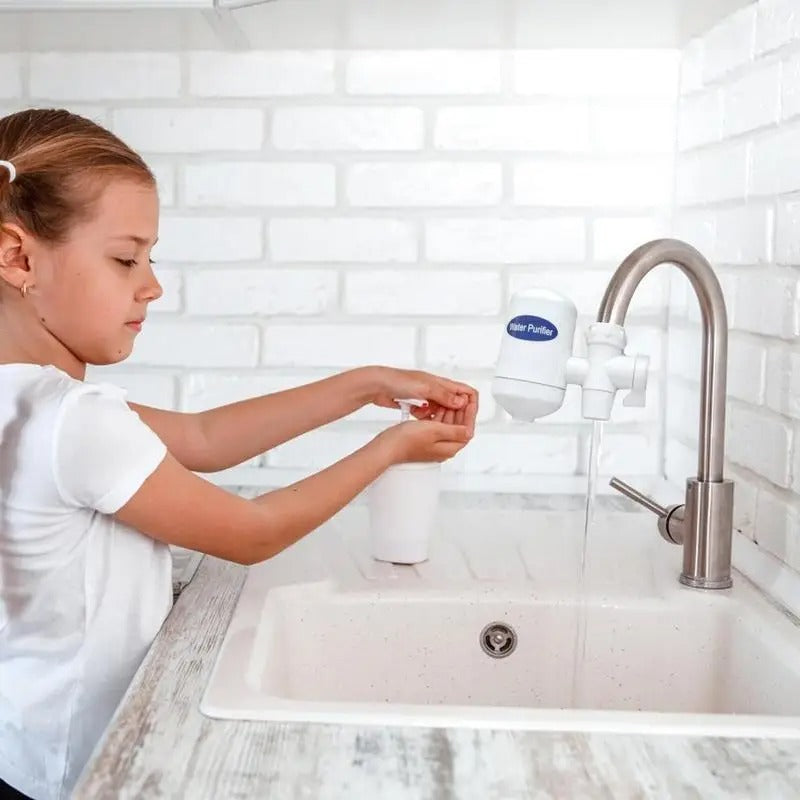 SWS Hi-Tech Ceramic Cartridge / Environment-friendly Water Purifier